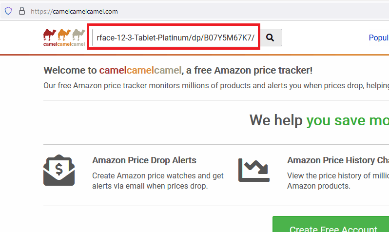 Amazon URL pasted into camelcamelcamel.com's search box