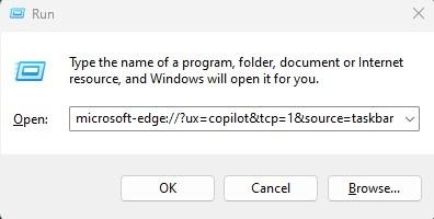 The Windows Run panel with the command listed below entered
