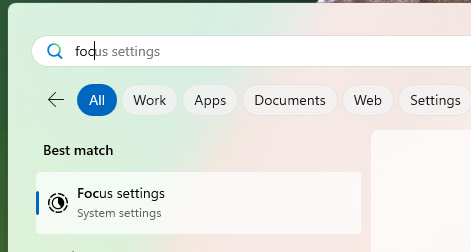 Screenshot of the search panel with Focus Settings in the search bar