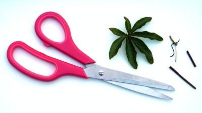A pair of scissors with a pink handle