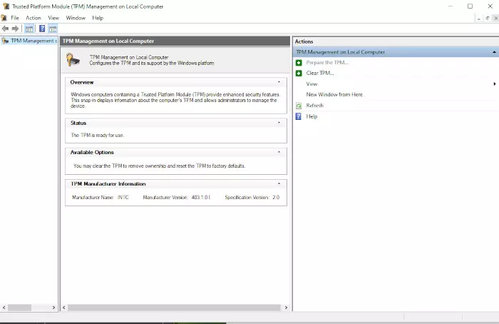 Screenshot of the TPM panel showing the info displayed when a TPM module is detected