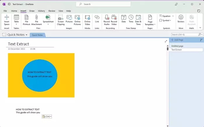 Screenshot of OneNote showing the copied text pasted into the note as plain text