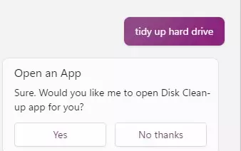 A CoPilot request to tidy up hard drive leads it to suggest opening the Disk Cleaning app