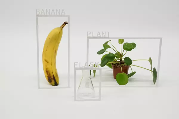 A banana, a plant and a flask on a monochrome surface, each one surrounded by a thin white frame with letters attached that spell the name of the objects