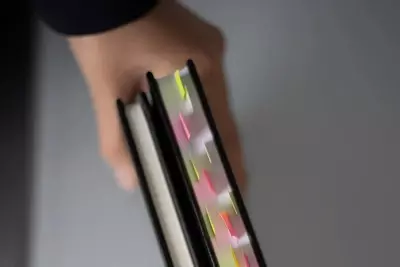 Photo of a binder with tabs in it