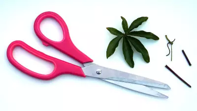 A pair of scissors with pink handles.