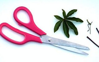 A pair of scissors with pink handles.