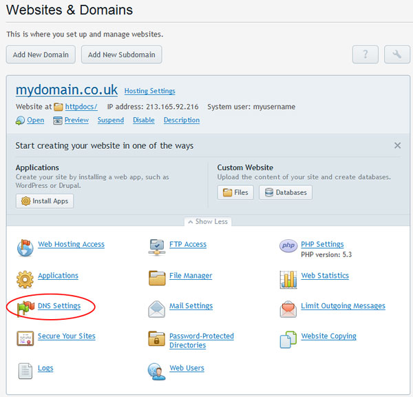 Step 2: Click DNS Settings